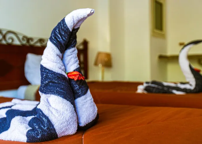 Hotel Fox House & Hurghada