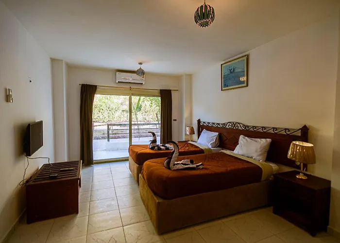 Fox House & Hurghada